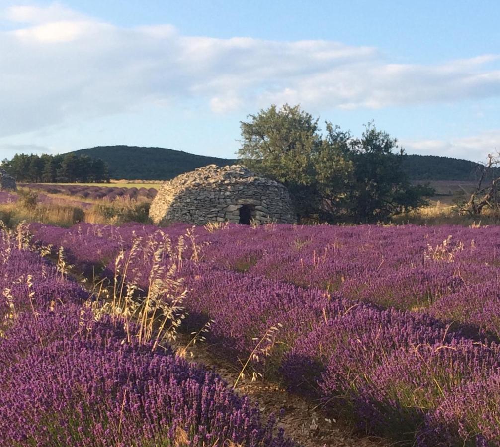 La Maison D'Alice Sault-de-Vaucluse Kültér fotó