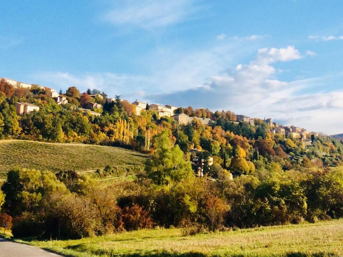 La Maison D'Alice Sault-de-Vaucluse Kültér fotó